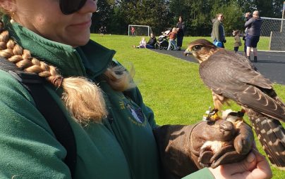 <p>Event support</p>
