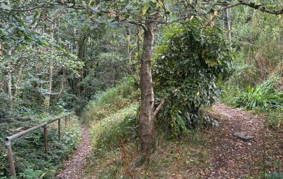 <p>Woodside Crescent and The Heyes Path</p>
