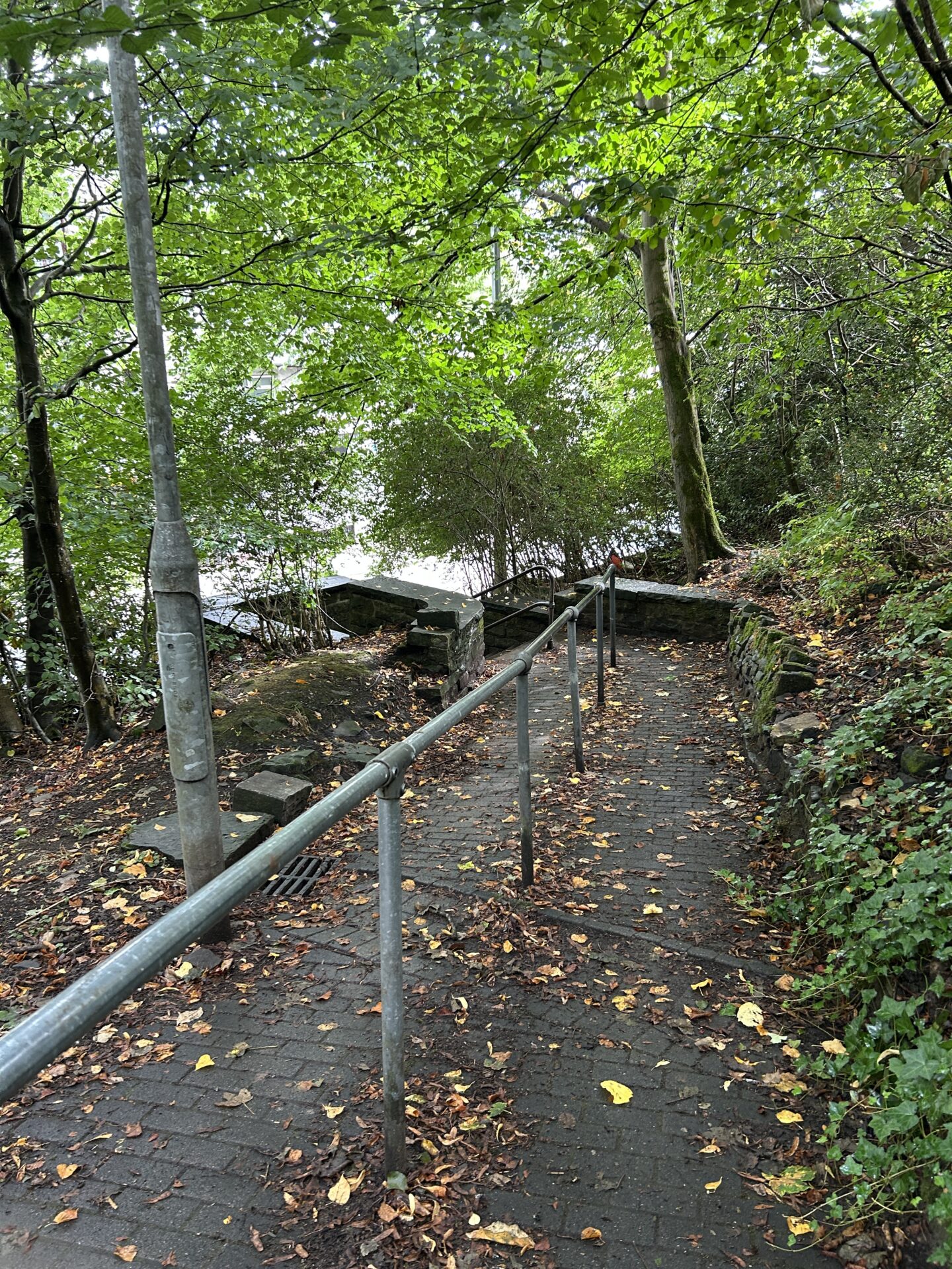 Existing walking route through Staghills